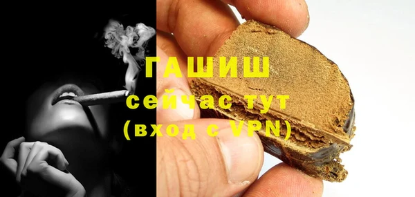гашик Алексин