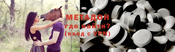 гашик Алексин