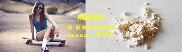 гашик Алексин