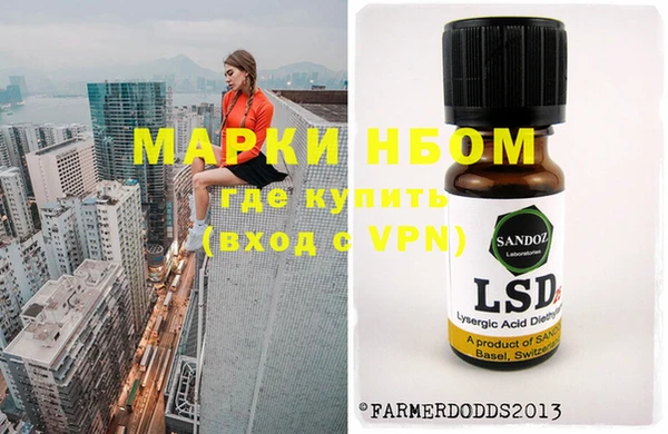 гашик Алексин
