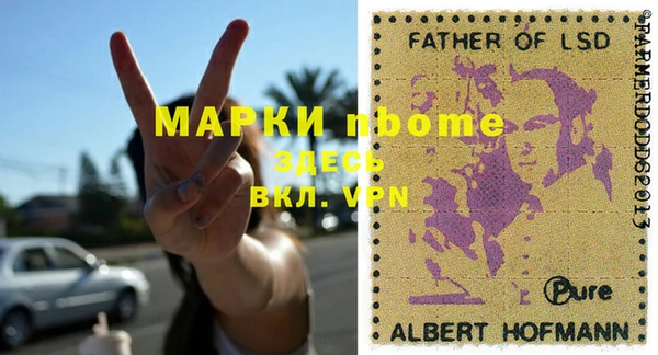 гашик Алексин