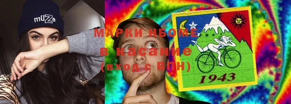 гашик Алексин