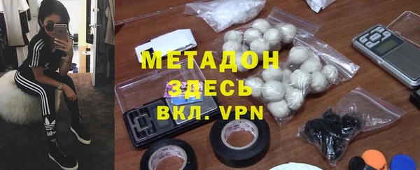 гашик Алексин