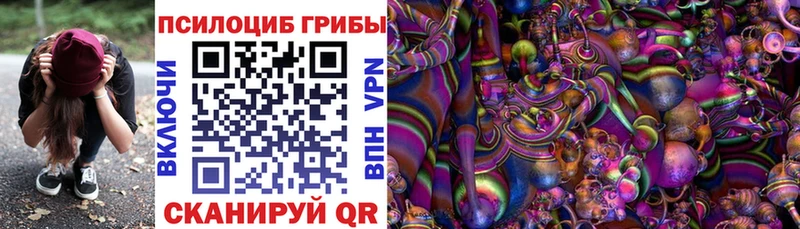 купить закладку  Спасск  shop официальный сайт  Галлюциногенные грибы Psilocybine cubensis 